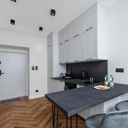 Apartament Piotrkowska Grand Avenue By Bookinghost